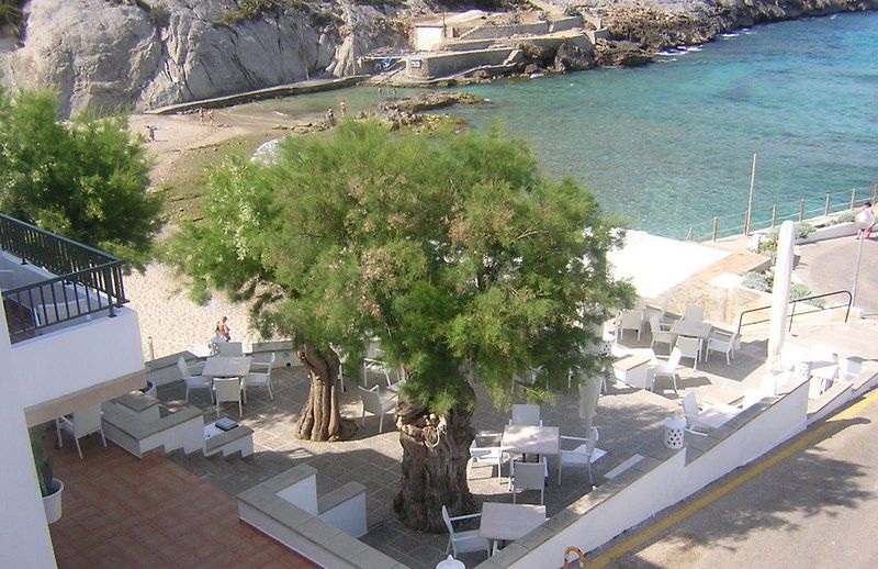 Hoposa Niu Hotel Cala San Vicente (Mallorca)
